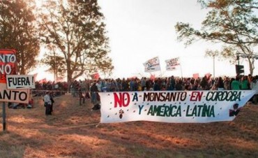 Rechazan estudio ambiental de la empresa Monsanto en Córdoba