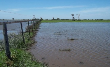 Gestiones del Senador Alcides Calvo  ante reclamos de productores    afectados por las lluvias