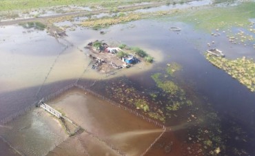 La provincia decretó la emergencia agropecuaria en cuatro localidades del departamento Castellano