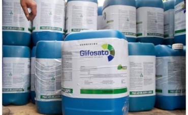 Agrotóxicos: otro intento para frenar el uso indiscriminado de este producto químico